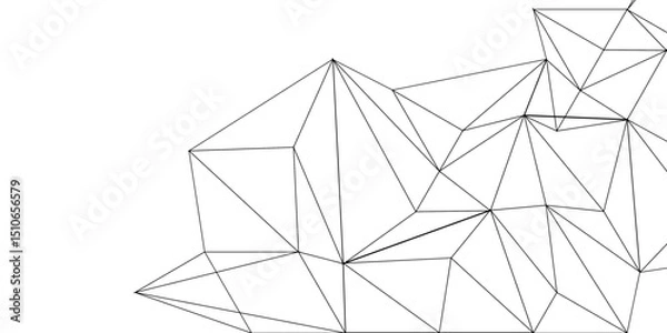 Obraz Abstract line background. abstract black lines with white background creative and geometric shape with white luxury pattern and paper texture and geometric shape with white luxury style.	
