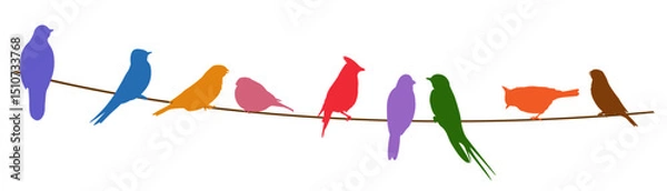 Fototapeta Wildlife.  Colorful silhouettes of birds sitting on wire. Vector illustration