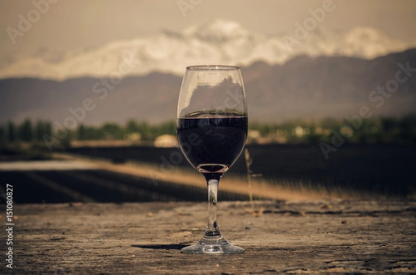 Obraz Vinos de Cordillera
