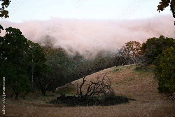 Obraz Blanket of fog rolling over a mountain ridge at sunrise