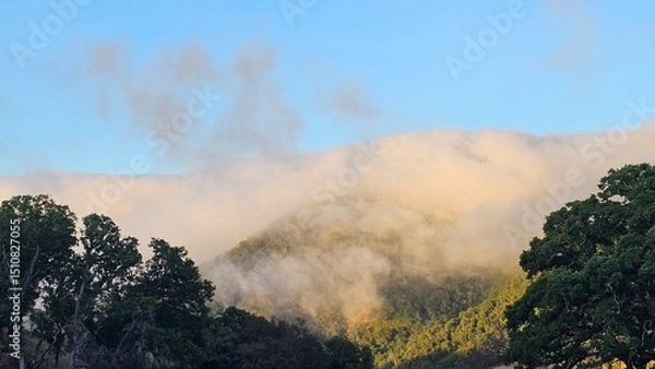 Obraz Blanket of fog rolling over a mountain ridge at sunrise