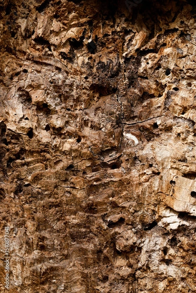 Fototapeta Close-up of wood texture. Texture and details of broken wood. Different decorative lines and cracks