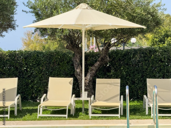 Obraz Sunbeds and umbrella by the pool water, Sunny day. Summer holidays