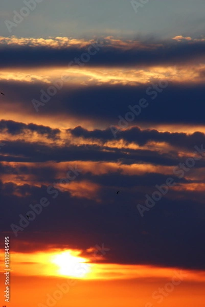 Obraz Colori del tramonto