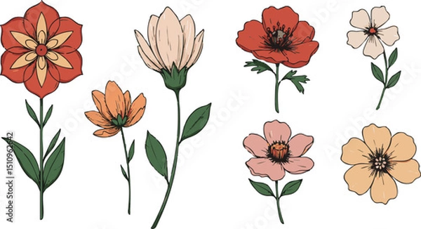 Fototapeta Collection of hand drawn flowers in various colors and styles on a white background illustration art