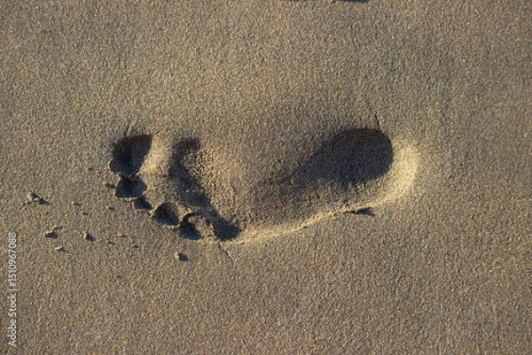 Obraz Traces we leave behind: single footprint in morning sand by the coast