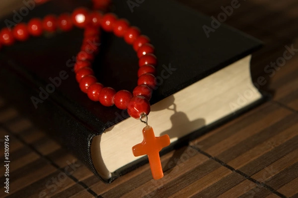 Obraz Bible with red  cross