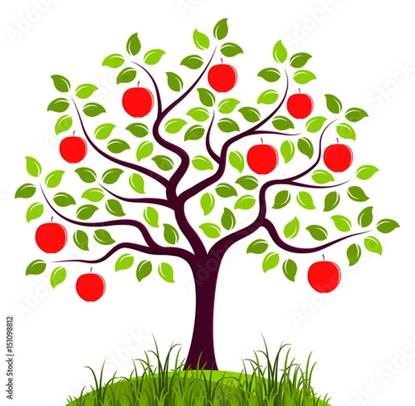 Obraz jabłoń
