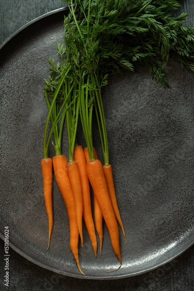 Fototapeta Fresh raw and peeled carrots, with the green still attached, lie in a large metal bowl. The bowl is gray. The carrots glow orange.