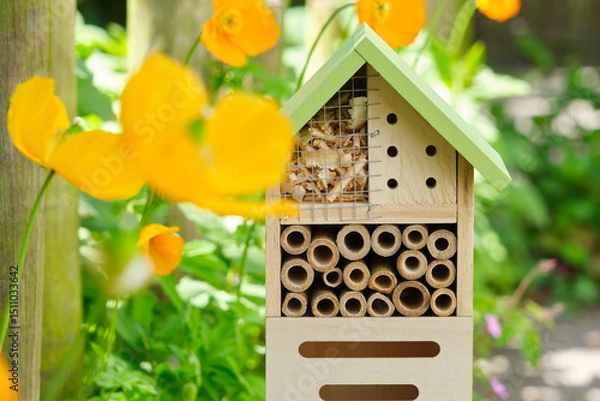Fototapeta An insect hotel or bee hotel in a summer garden with orange flowers. An insect hotel is a manmade structure created to provide shelter for insects in a variety of shapes and sizes and materials.