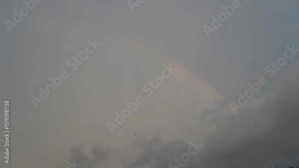 Fototapeta Ominous grey sky with subtle light and a distant bird in flight