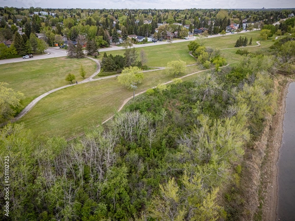Fototapeta View of a park with a path and trees