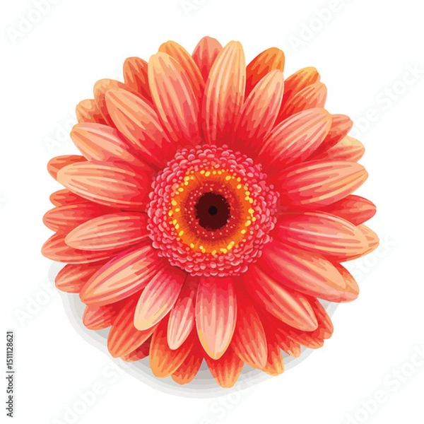 Fototapeta Professional Gerbera Flower Vector Illustration with Natural Shadow for Graphic Design Projects