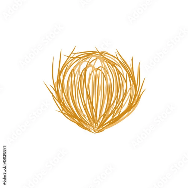 Obraz tumbleweed grass vector illustration