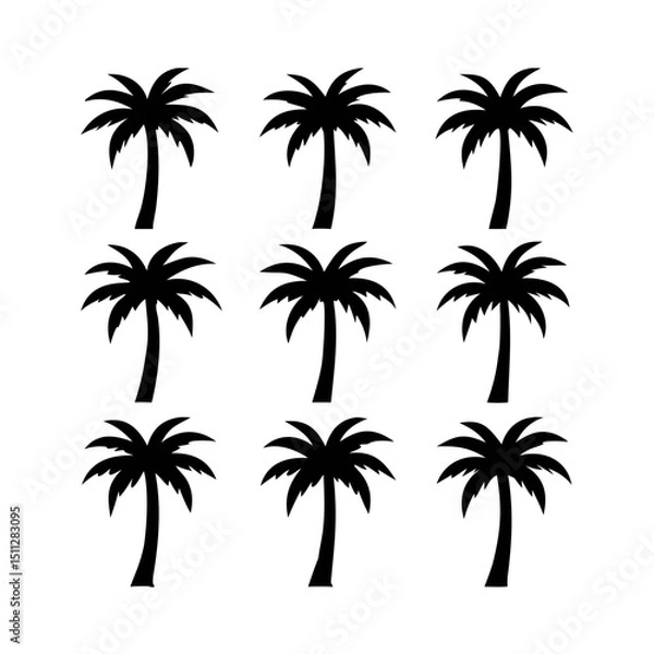 Obraz Palm tree silhouettes