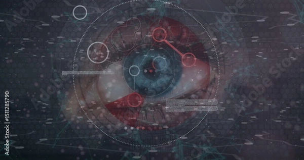 Fototapeta Image of data processing over eye