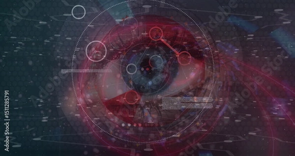 Fototapeta Image of data processing over eye
