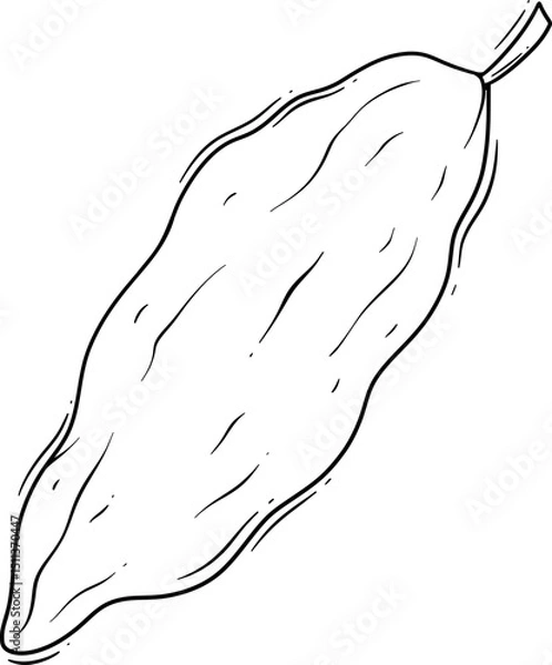 Fototapeta Illustration of a Cucumber