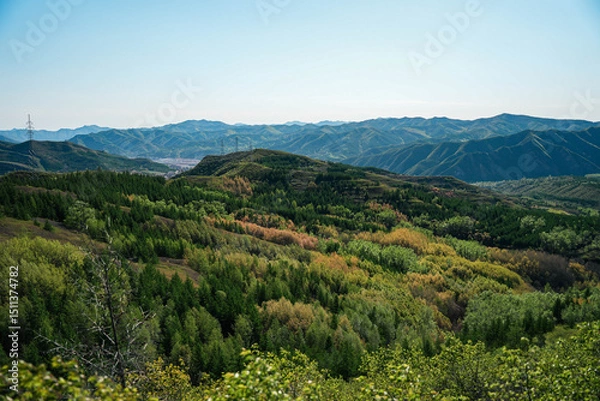 Fototapeta Mountain landscape with green forest and clear blue sky creating peaceful and natural atmosphere