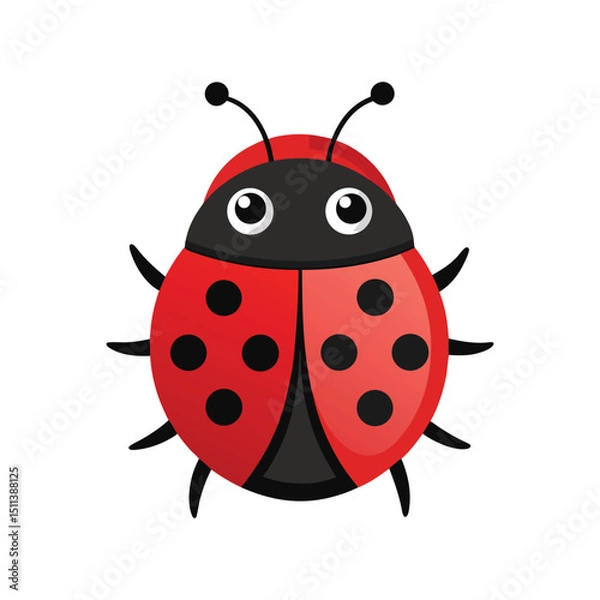 Fototapeta Flat and Minimal Ladybug icon vector illustration isolated on white background
