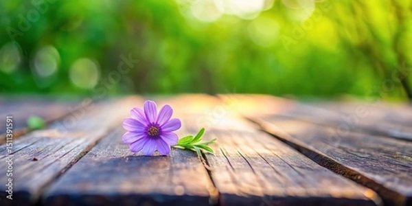 Obraz Small delicate purple flower blooming on a wooden table in a garden