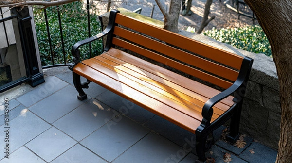 Obraz Sunlight shining through bare tree branches in early spring