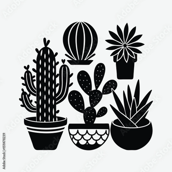 Fototapeta Stylish black and white cactus and succulent illustration.