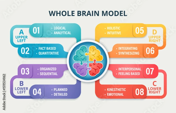 Obraz Whole Brain Model infographic showing four thinking quadrants: analytical, sequential, emotional, and holistic. Color-coded brain sections represent cognitive diversity and thinking styles for educati