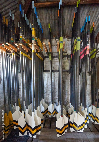 Fototapeta sport rowing oars and kayak on a wall