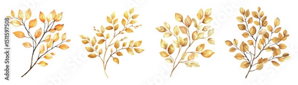 Fototapeta Watercolor set of golden branches with leaves. Golden branch with leaves watercolor on transparent background. Botanical elements in gold watercolor. Elements for wedding designs, autumn.