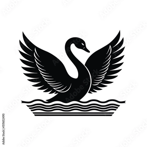 Fototapeta black swan vector illustration