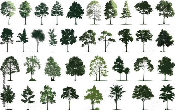 Fototapeta Trees Vector Set: Diverse Collection of Tree Silhouettes on White Background.