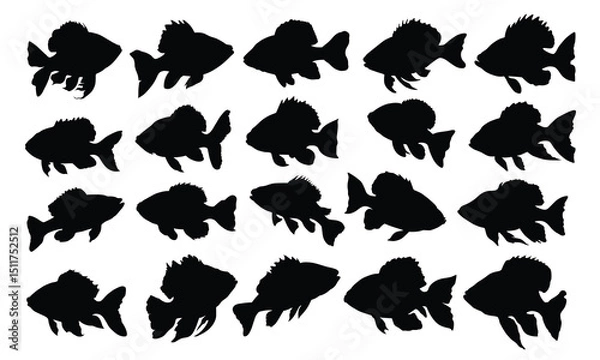 Obraz Fish silhouette set vector design big pack of fish illustration and icon