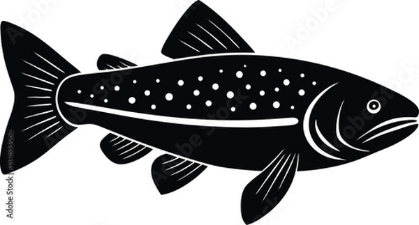 Obraz brook trout illustration on white background  