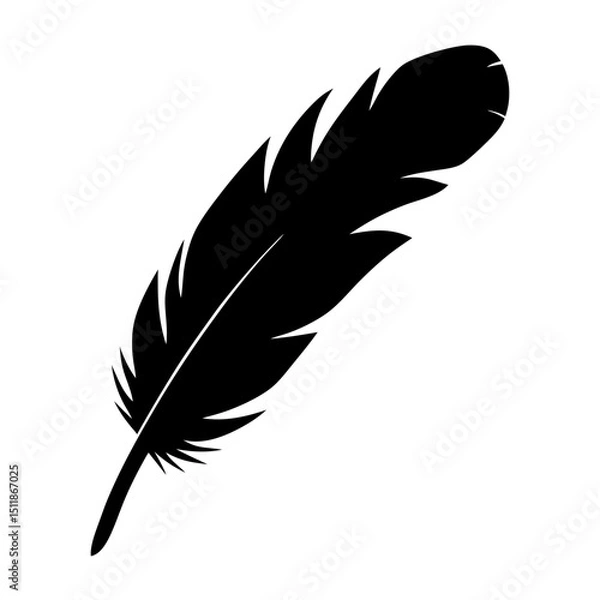 Fototapeta Black and White Silhouette of a Feather with Intricate Details