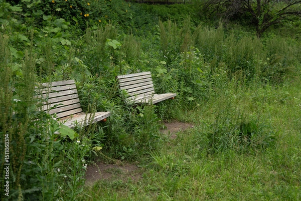 Fototapeta 草に埋もれるベンチ