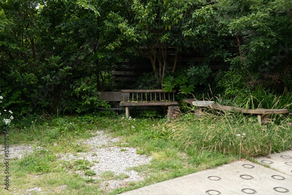 Fototapeta 手作りのベンチ