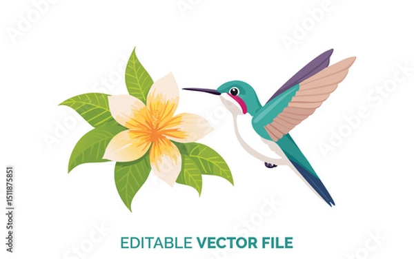 Obraz Hummingbird Visiting Flower Editable Vector File, Vibrant Tropical Bird Illustration, Digital Nature Graphic for Design Projects
