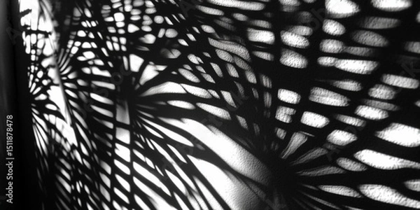 Obraz Abstract interplay of light and shadow creating organic patterns on textured surface