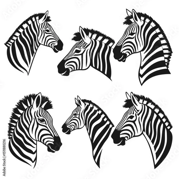 Fototapeta 6 zebra head icon set isolated on white background.
