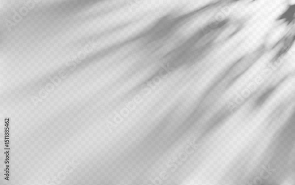 Fototapeta Abstract shadow overlay from tree on a transparent background.