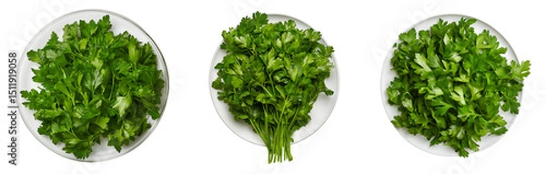 Fototapeta Set of various Plate with parsley, top view isolated on transparent background