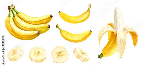 Fototapeta バナナの水彩画イラスト、セット素材