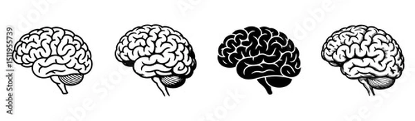 Fototapeta set of anatomical human brain brain side view vector illustrations, neurology and cognitive science
