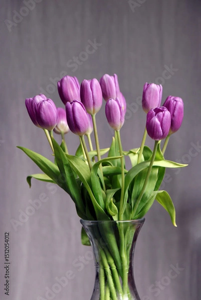 Obraz lila tulpen in der vase