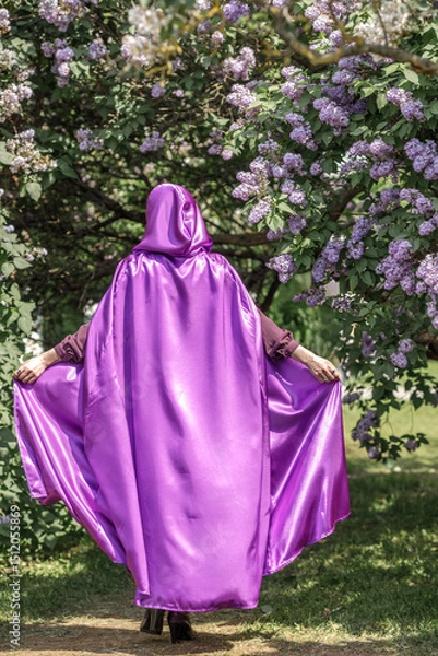 Fototapeta A beautiful young woman with red hair, against a background of blooming lilacs, in a cloak and hood. Medieval fantasy costume. Fairy tale heroine, princess, duchess.