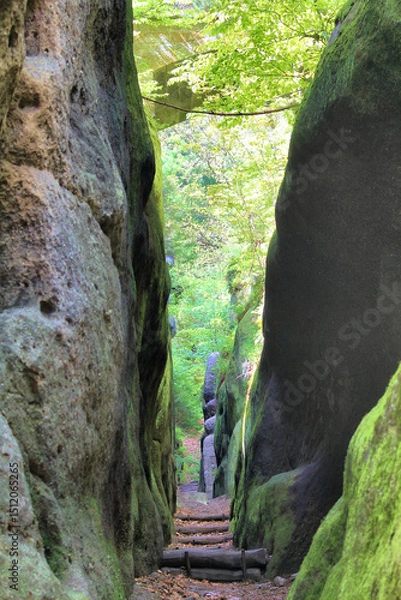 Obraz Ritterschlucht in Oybin