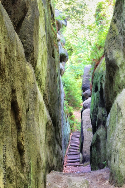 Fototapeta Ritterschlucht in Oybin