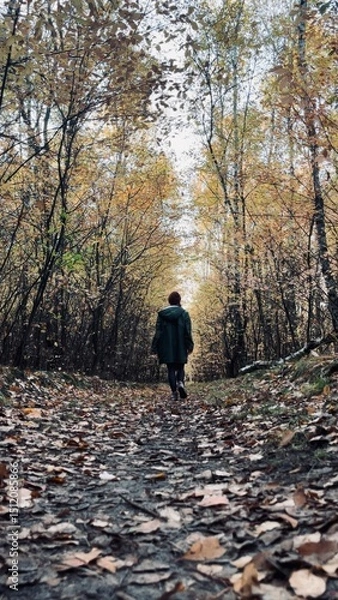 Fototapeta Forest path with autumn foliage leading to a figure walking alone among trees in a serene atmosphere