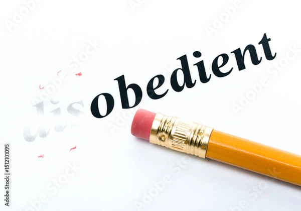Fototapeta Word disobedient  obedient with eraser close-up
